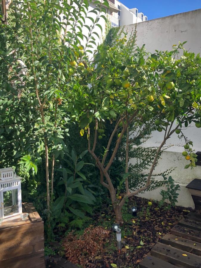 Garden Apartment Lisbon Luaran gambar